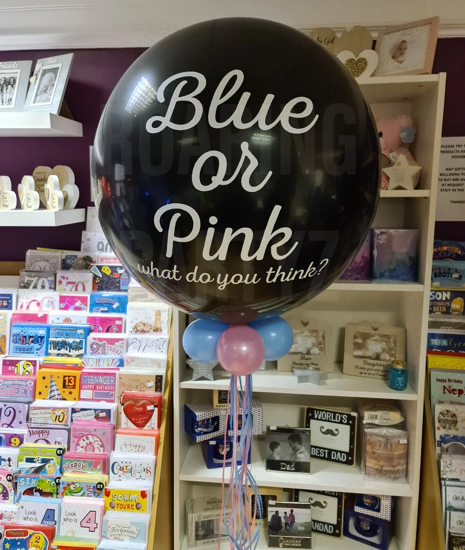 2ft Gender Reveal Balloon