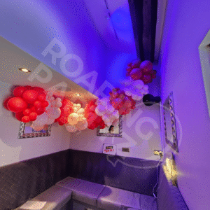 Latex Balloon Garland